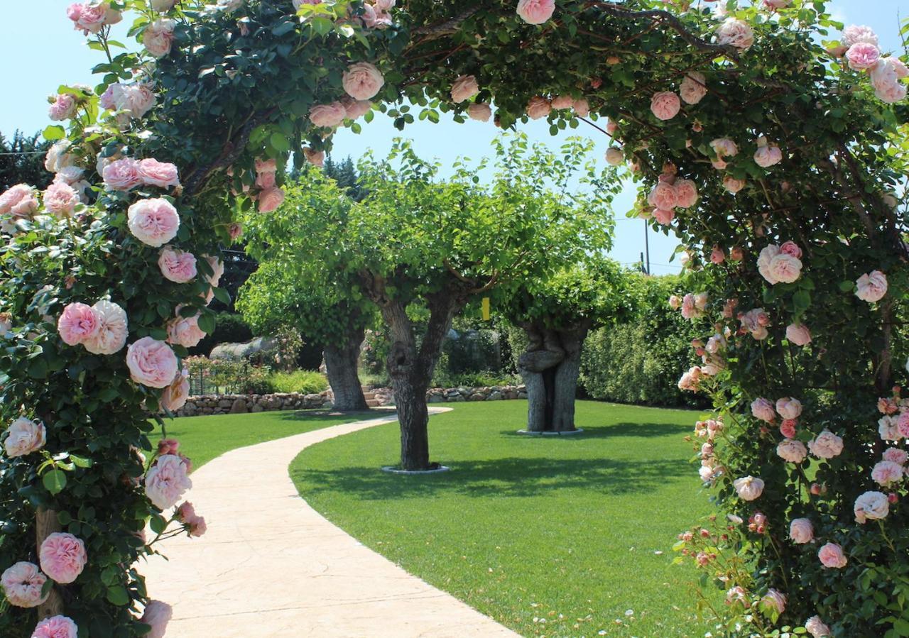 Agriturismo E Agricamping Le Nosare Villa Valeggio sul Mincio Exterior foto